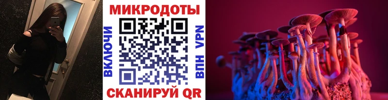 маркетплейс формула  сколько стоит  Боровск  Псилоцибиновые грибы мицелий 